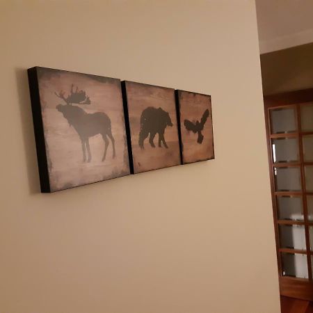 My Home In Oporto Мая Екстер'єр фото